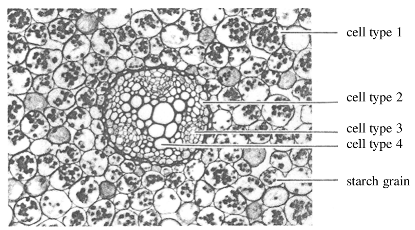 Question figure