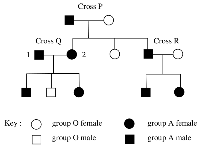 Question figure
