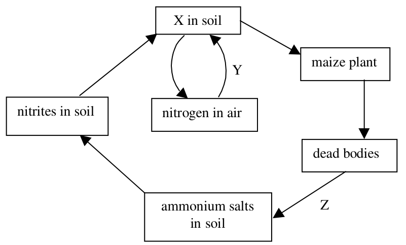 Question figure
