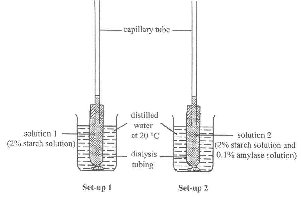 Question figure