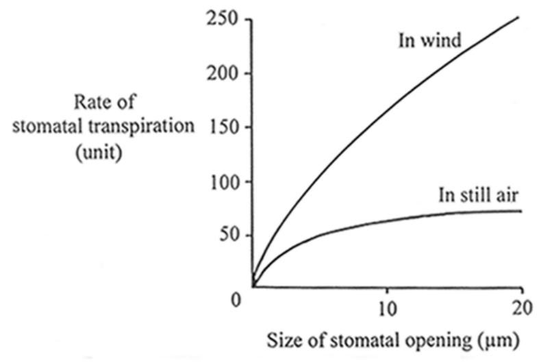 Question figure