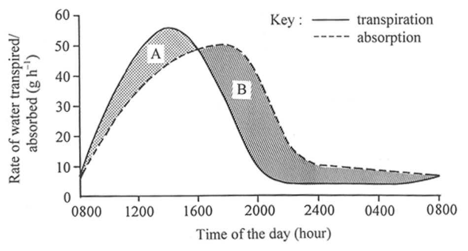 Question figure