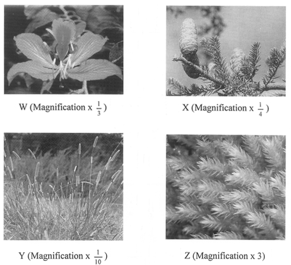 Question figure