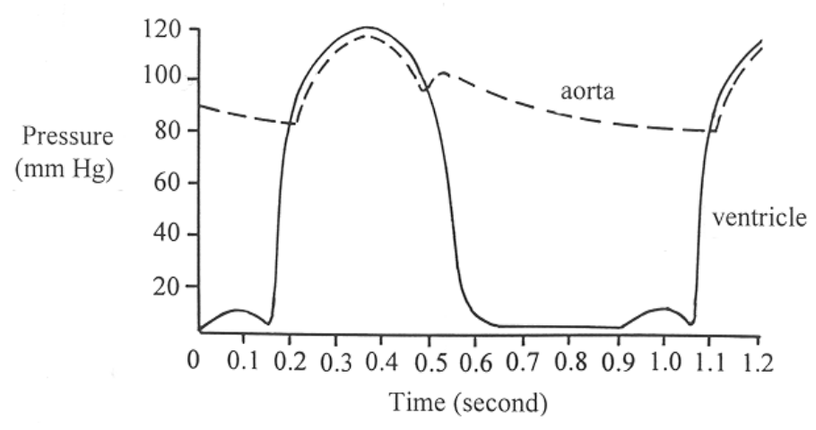Question figure