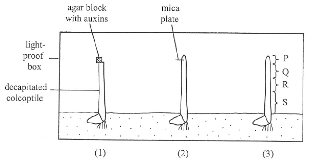 Question figure