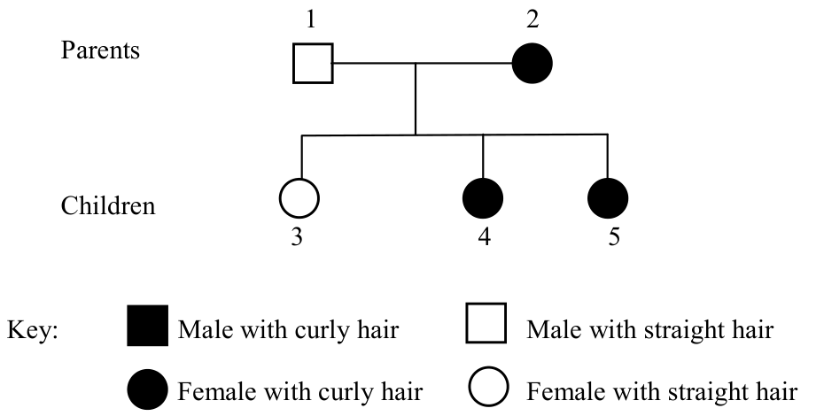 Question figure