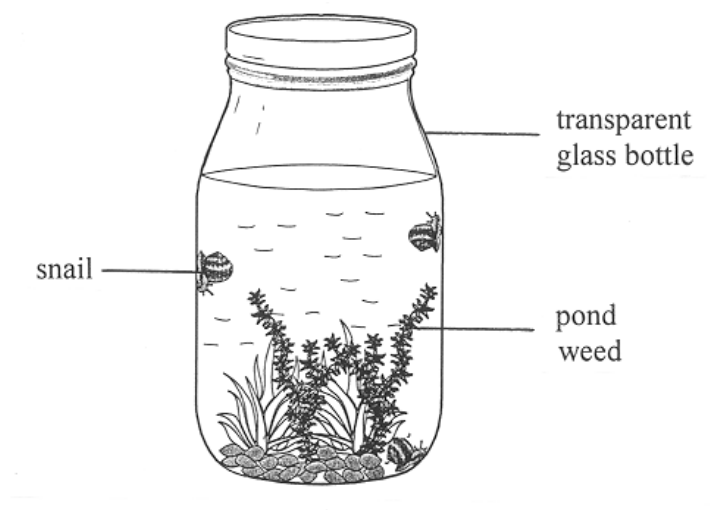 Question figure