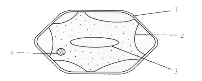 Question figure