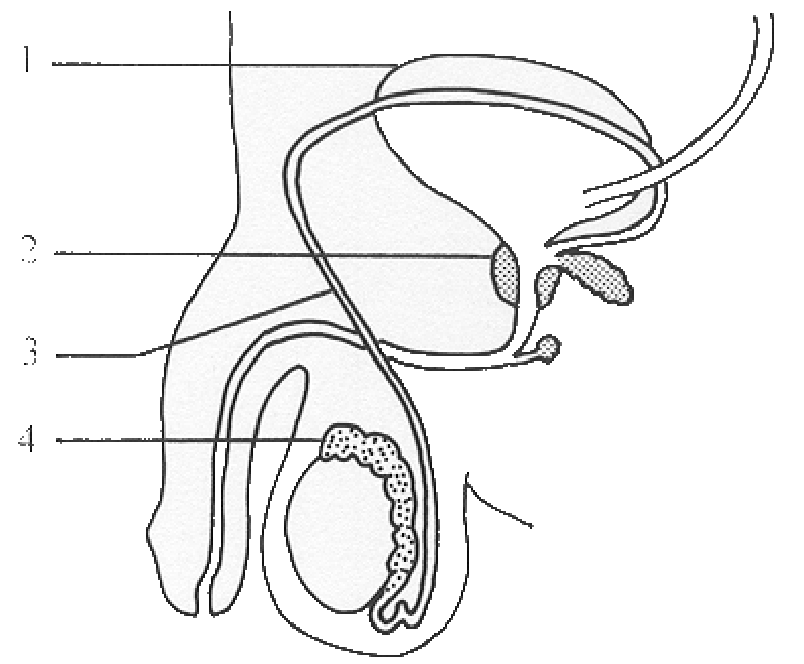Question figure