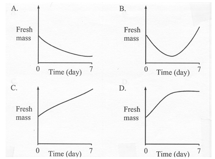 Question figure