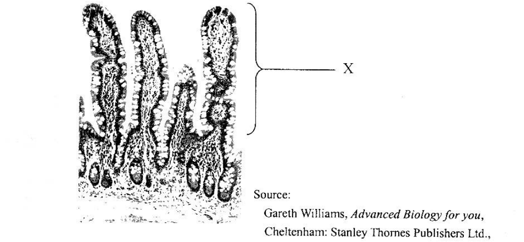 Question figure