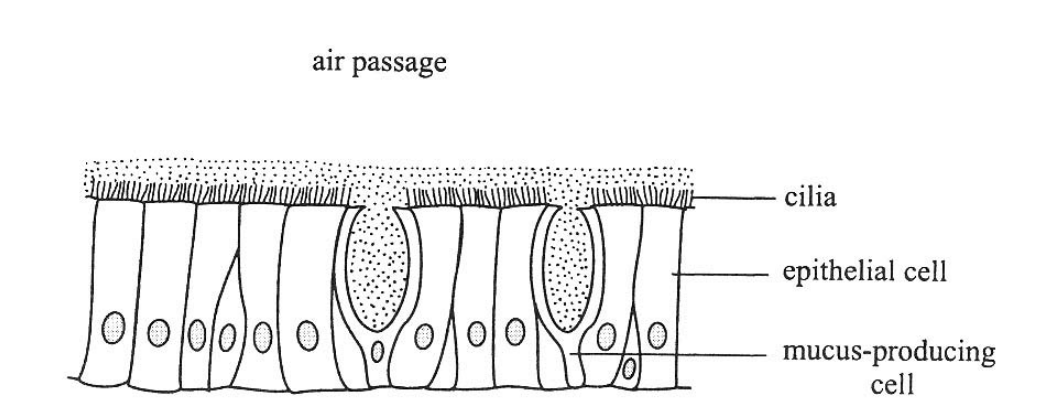 Question figure