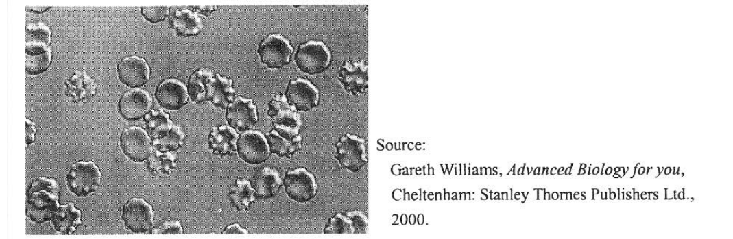Question figure
