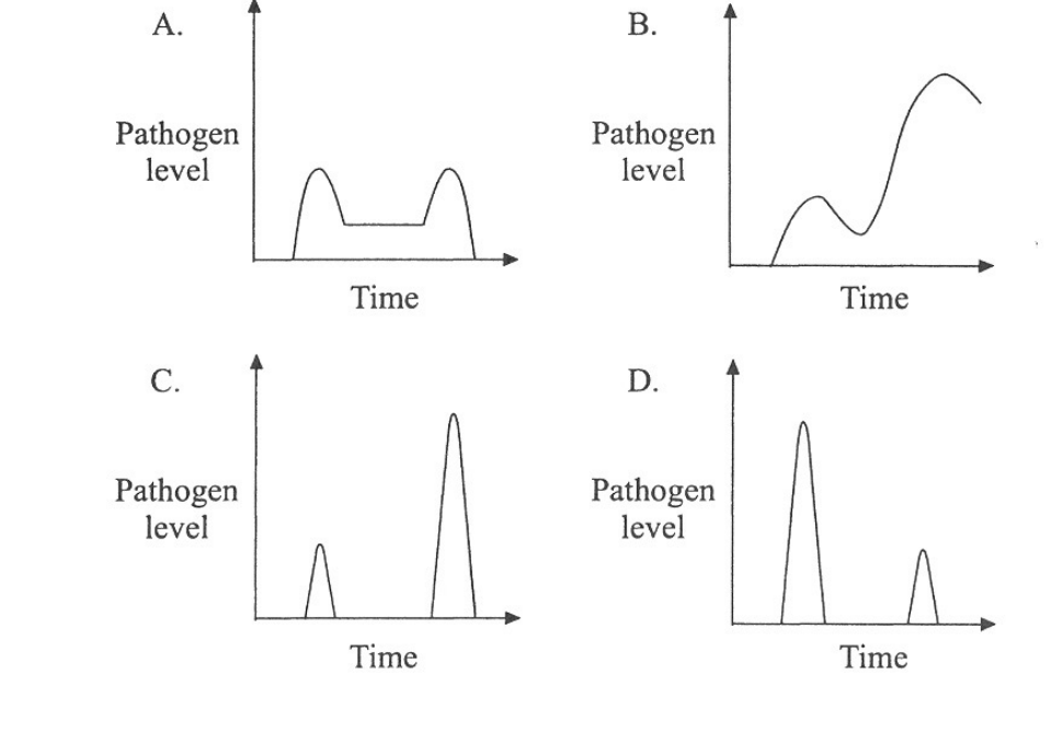 Question figure