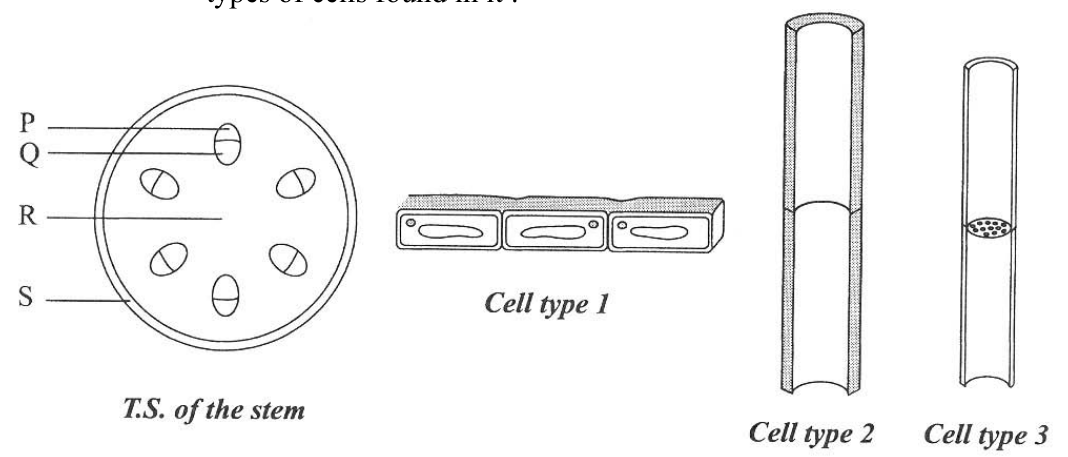 Question figure