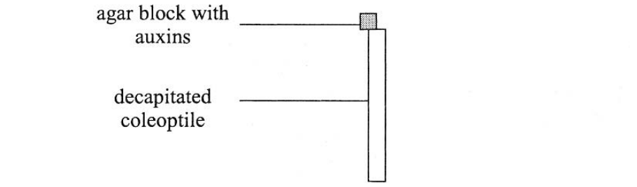Question figure