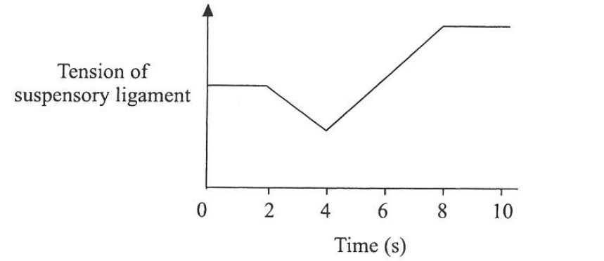 Question figure