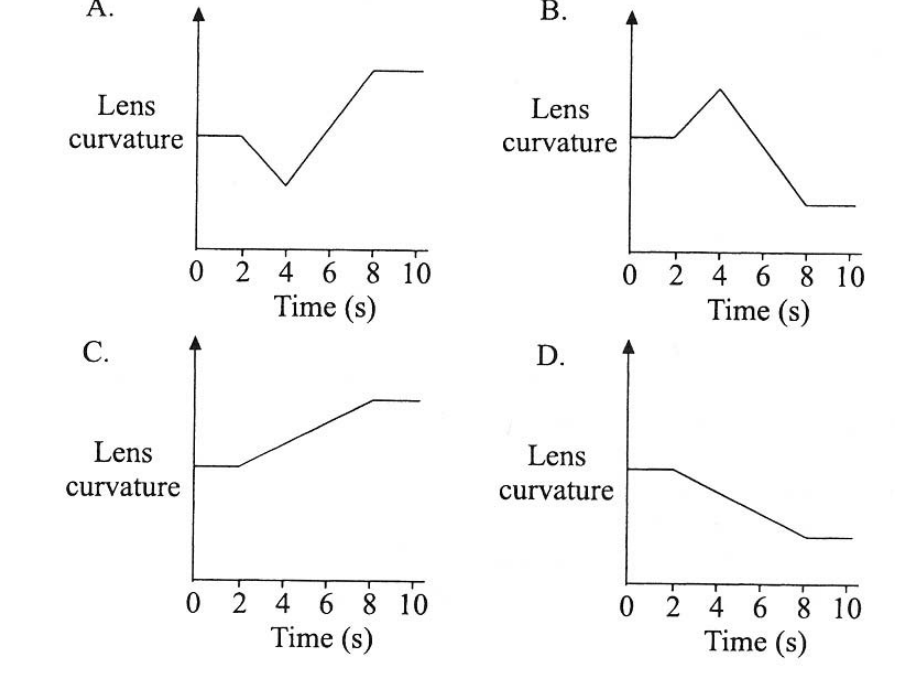 Question figure