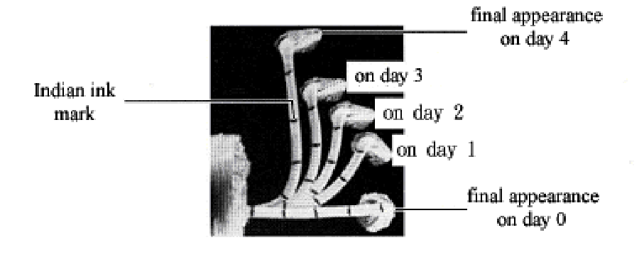 Question figure