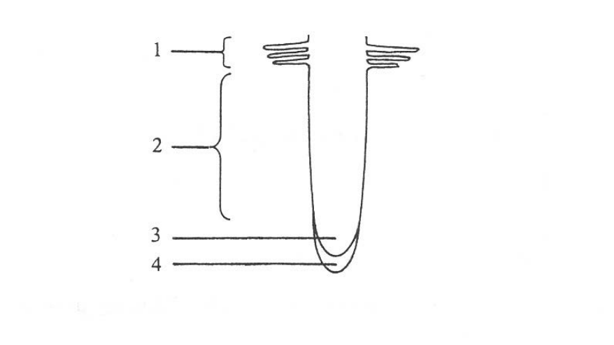 Question figure