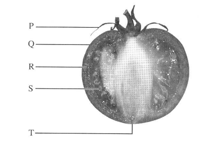 Question figure