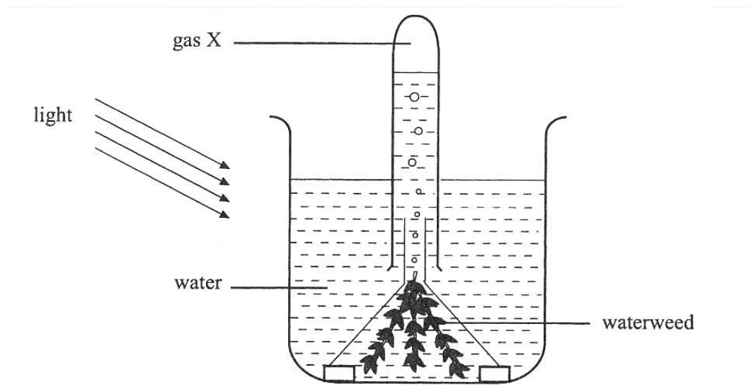 Question figure