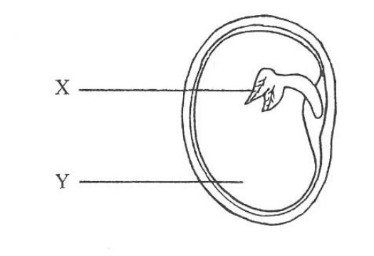 Question figure