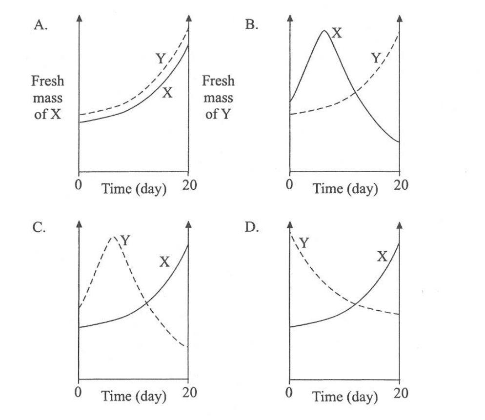 Question figure