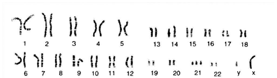 Question figure