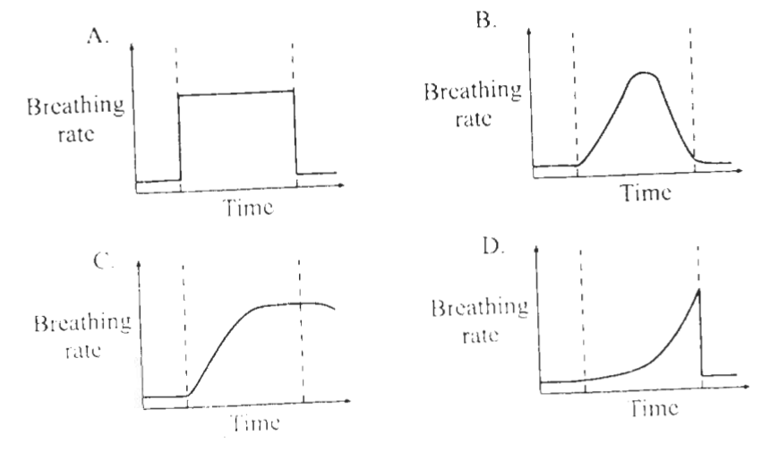Question figure