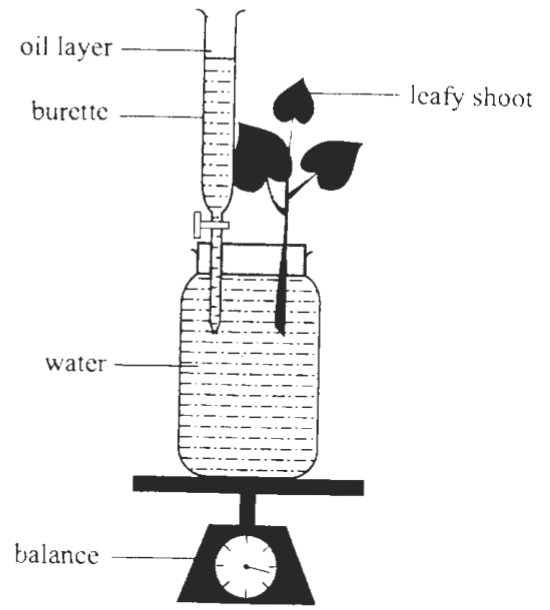 Question figure