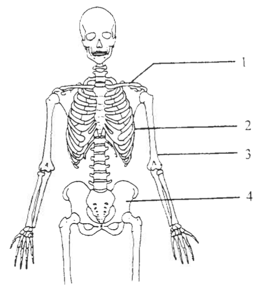 Question figure