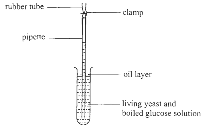 Question figure