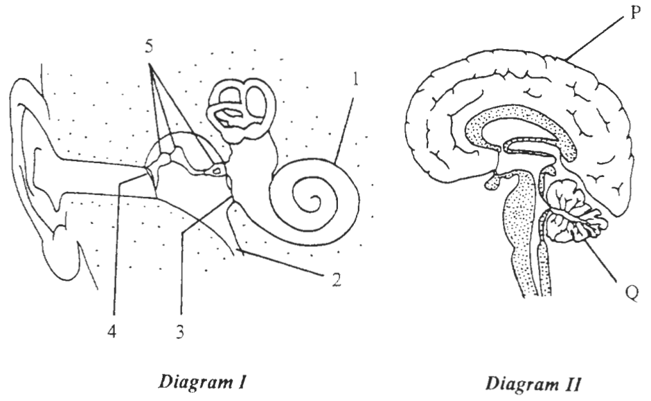 Question figure