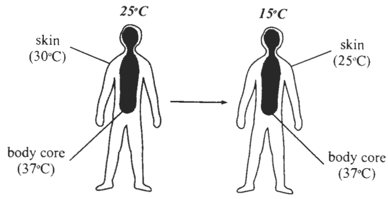 Question figure