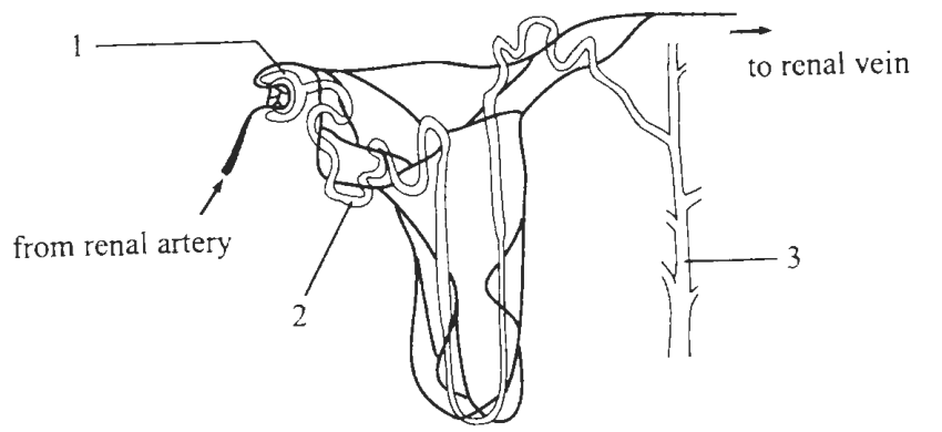 Question figure