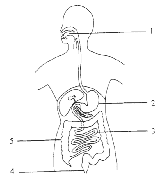 Question figure