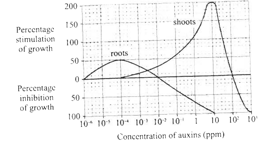 Question figure