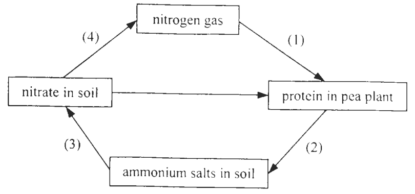 Question figure
