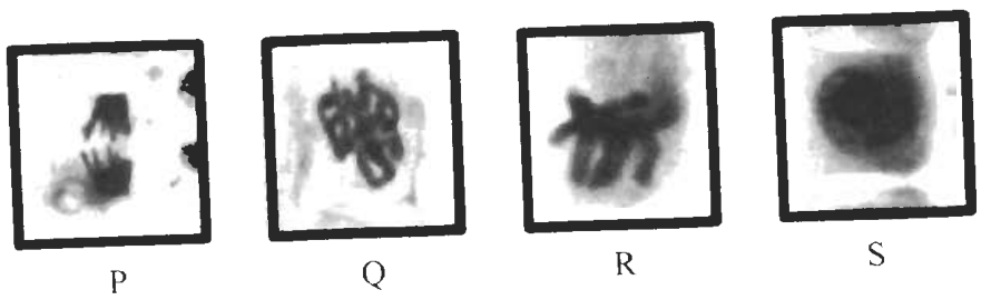 Question figure