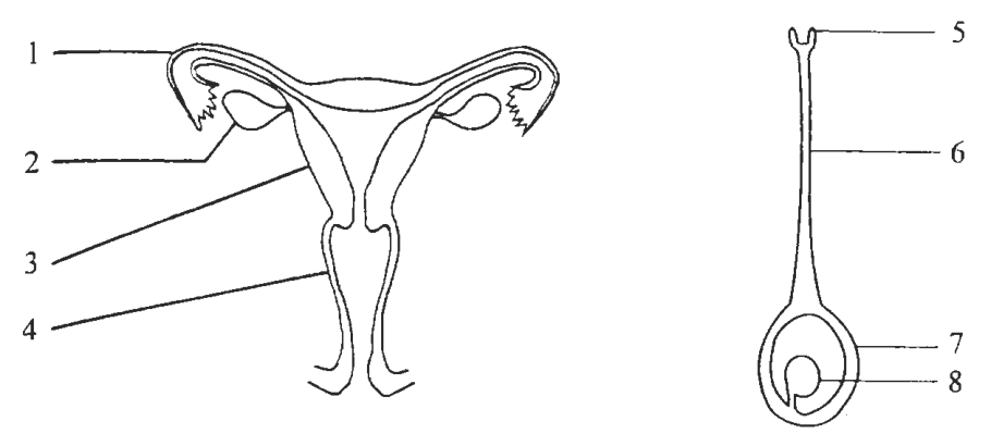 Question figure