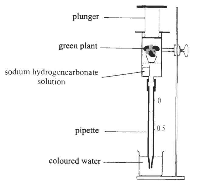 Question figure