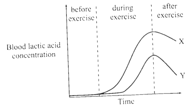 Question figure