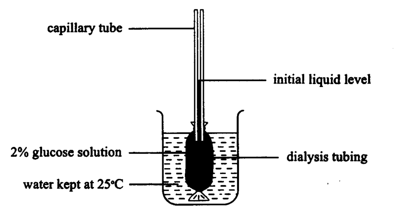 Question figure