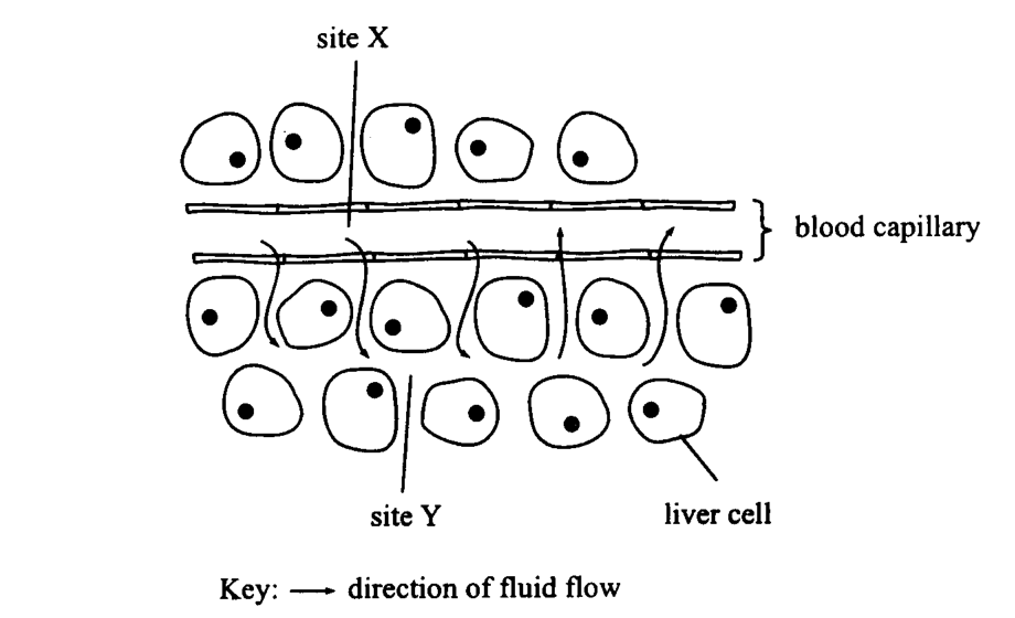 Question figure