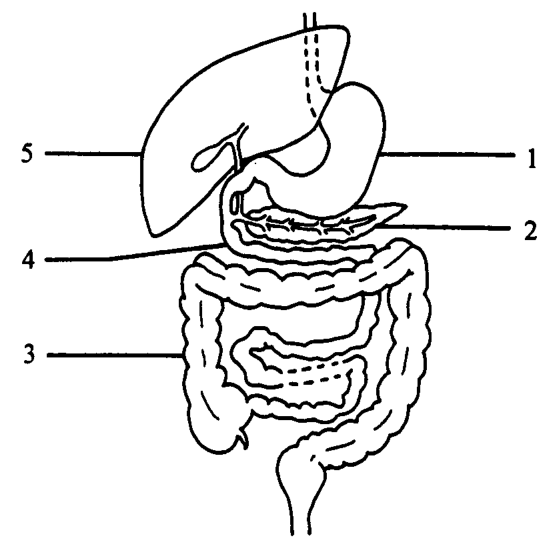Question figure
