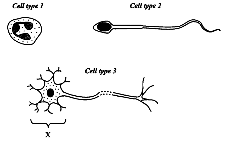 Question figure