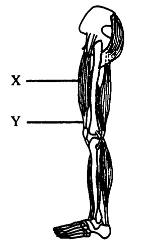 Question figure