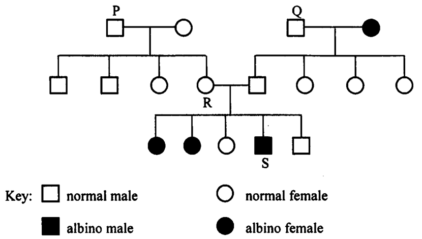 Question figure
