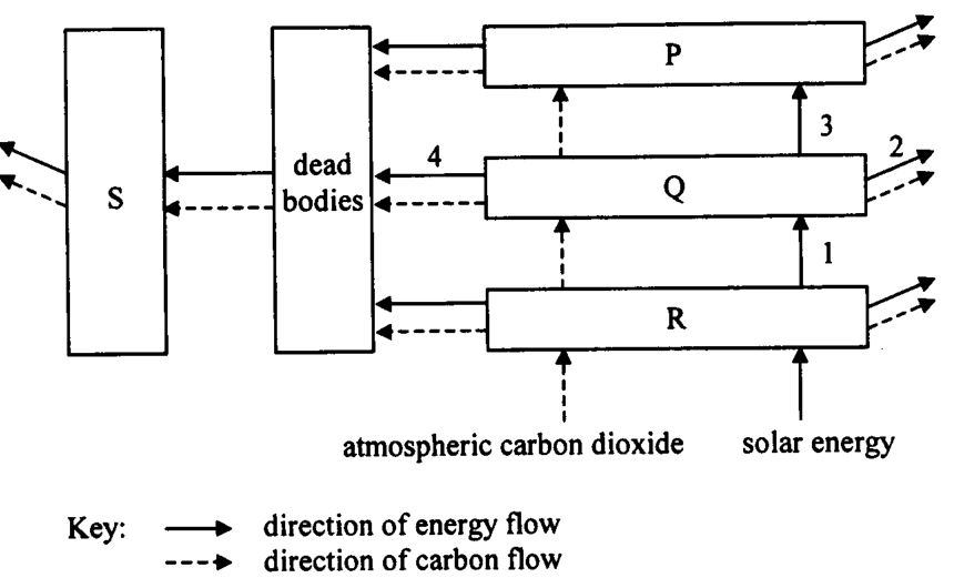 Question figure